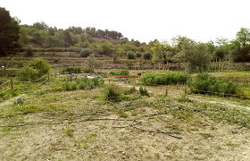 Xarrada dels horts urbans ecològics Xarrada dels horts urbans ecològics